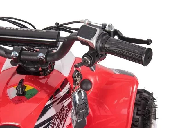 Детский электроквадроцикл WHITE SIBERIA SNEG LETO R 1000W